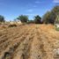  Terreno (Parcela) en venta en Totolac, Tlaxcala, Totolac