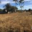  Terreno (Parcela) en venta en Totolac, Tlaxcala, Totolac