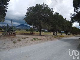  Terrain for sale in Puebla, Oriental, Puebla