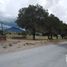  Land for sale in Oriental, Puebla, Oriental