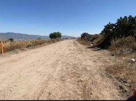 Terreno (Parcela) en venta en San Agustin Tlaxiaca, Hidalgo, San Agustin Tlaxiaca