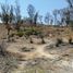  Land for sale in Tarimbaro, Michoacan, Tarimbaro