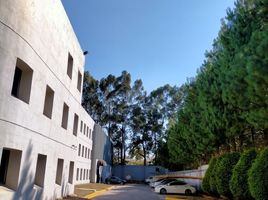 300 m2 Office for rent in Mexico, Lerma, Mexico