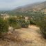  Land for sale in Curacavi, Santiago, Curacavi, Melipilla