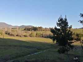  Terreno (Parcela) en venta en Maule, San Clemente, Talca, Maule