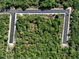  Terrain for sale in Yucatan, Conkal, Yucatan