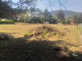  Grundstück zu verkaufen in Valle De Bravo, Mexico, Valle De Bravo