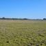  Land for sale in Niquen, Nuble, Niquen, Punilla
