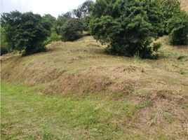  Terreno (Parcela) en venta en La Vega, Cundinamarca, La Vega