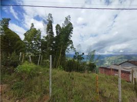  Grundstück zu verkaufen in Neira, Caldas, Neira