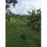 Studio House for sale in Colombia, Filandia, Quindio, Colombia