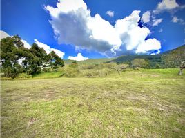  Land for sale in El Carmen De Viboral, Antioquia, El Carmen De Viboral