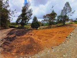  Land for sale in Guarne, Antioquia, Guarne