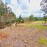  Land for sale in Guarne, Antioquia, Guarne