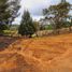  Land for sale in Guarne, Antioquia, Guarne