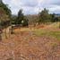  Land for sale in Guarne, Antioquia, Guarne