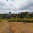  Land for sale in Guarne, Antioquia, Guarne