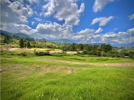  Land for sale in El Carmen De Viboral, Antioquia, El Carmen De Viboral