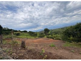  Land for sale in Arauca, Arauca, Arauca