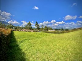  Land for sale in El Carmen De Viboral, Antioquia, El Carmen De Viboral