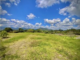  Land for sale in El Carmen De Viboral, Antioquia, El Carmen De Viboral