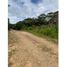  Land for sale in Chiriqui, Potrerillos, Dolega, Chiriqui