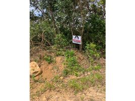  Terreno (Parcela) en venta en Chiriquí, Potrerillos, Dolega, Chiriquí