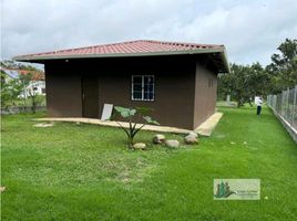 2 Schlafzimmer Villa zu verkaufen in Dolega, Chiriqui, Potrerillos Abajo, Dolega