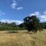 Land for sale in Chile, Puerto Varas, Llanquihue, Los Lagos, Chile