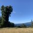  Land for sale in Chile, Puerto Varas, Llanquihue, Los Lagos, Chile