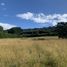  Land for sale in Chile, Puerto Varas, Llanquihue, Los Lagos, Chile