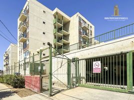 3 Habitación Apartamento en venta en Valparaíso, Viña del Mar, Valparaíso, Valparaíso