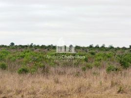  Terreno (Parcela) en venta en Concordia, Entre Rios, Concordia