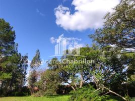  Land for sale in Concordia, Entre Rios, Concordia