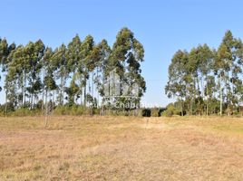  Land for sale in Concordia, Entre Rios, Concordia