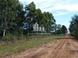  Land for sale in Concordia, Entre Rios, Concordia