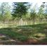  Land for sale in Concordia, Entre Rios, Concordia