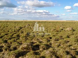  Land for sale in Paso De Los Libres, Corrientes, Paso De Los Libres