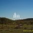  Land for sale in Concordia, Entre Rios, Concordia