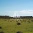  Land for sale in Concordia, Entre Rios, Concordia