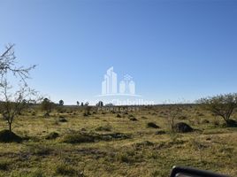  Land for sale in Concordia, Entre Rios, Concordia