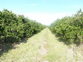  Terreno (Parcela) en venta en Concordia, Entre Rios, Concordia