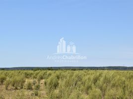  Land for sale in Concordia, Entre Rios, Concordia