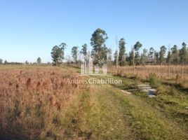  Land for sale in Concordia, Entre Rios, Concordia