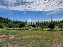  Land for sale in Concordia, Entre Rios, Concordia