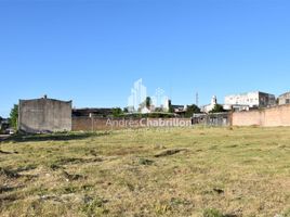  Land for sale in Concordia, Entre Rios, Concordia