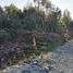  Land for sale in Chile, Puerto Montt, Llanquihue, Los Lagos, Chile