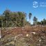  Land for sale in Chile, Puerto Montt, Llanquihue, Los Lagos, Chile