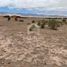  Land for sale in Chile, Caldera, Copiapo, Atacama, Chile