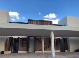 2 Bedroom Apartment for rent in Merida, Yucatan, Merida